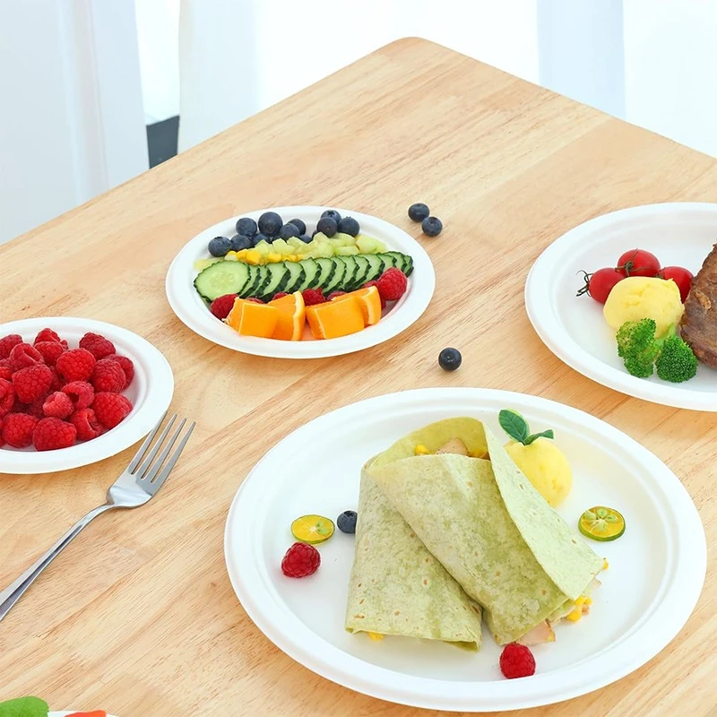 sugarcane paper plates 10inch